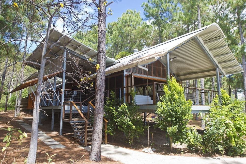 The Pines0