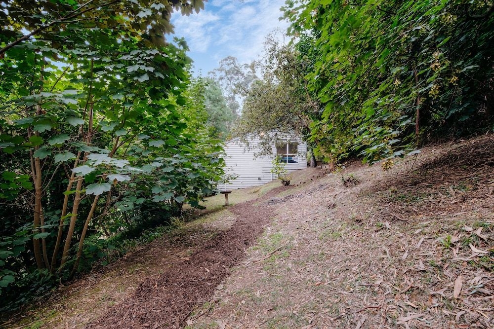 Steep Creek Retreat4