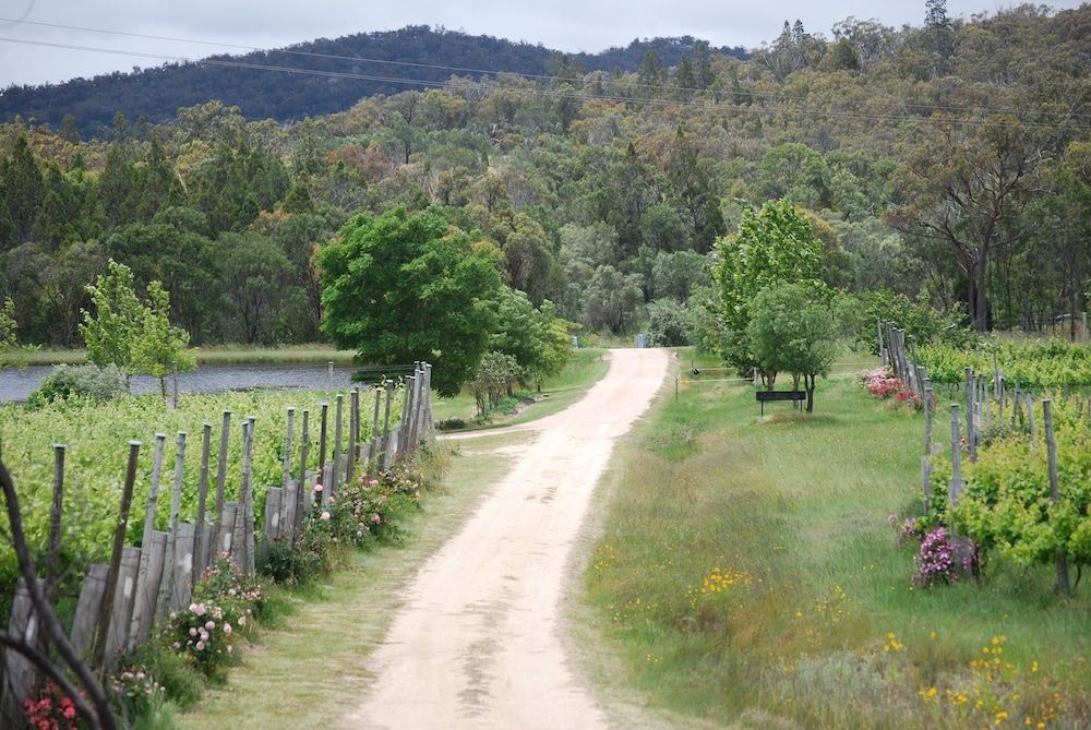 Twisted Gum Vineyard Cottage2