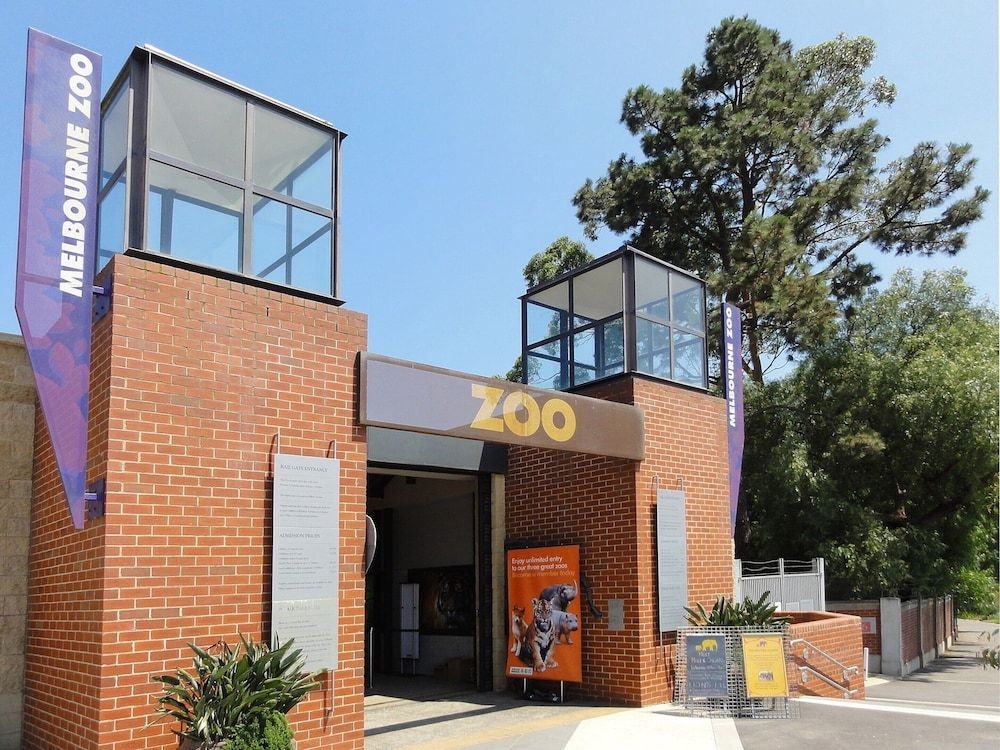 Comfy One-Bedroom Unit Between City And Airport1