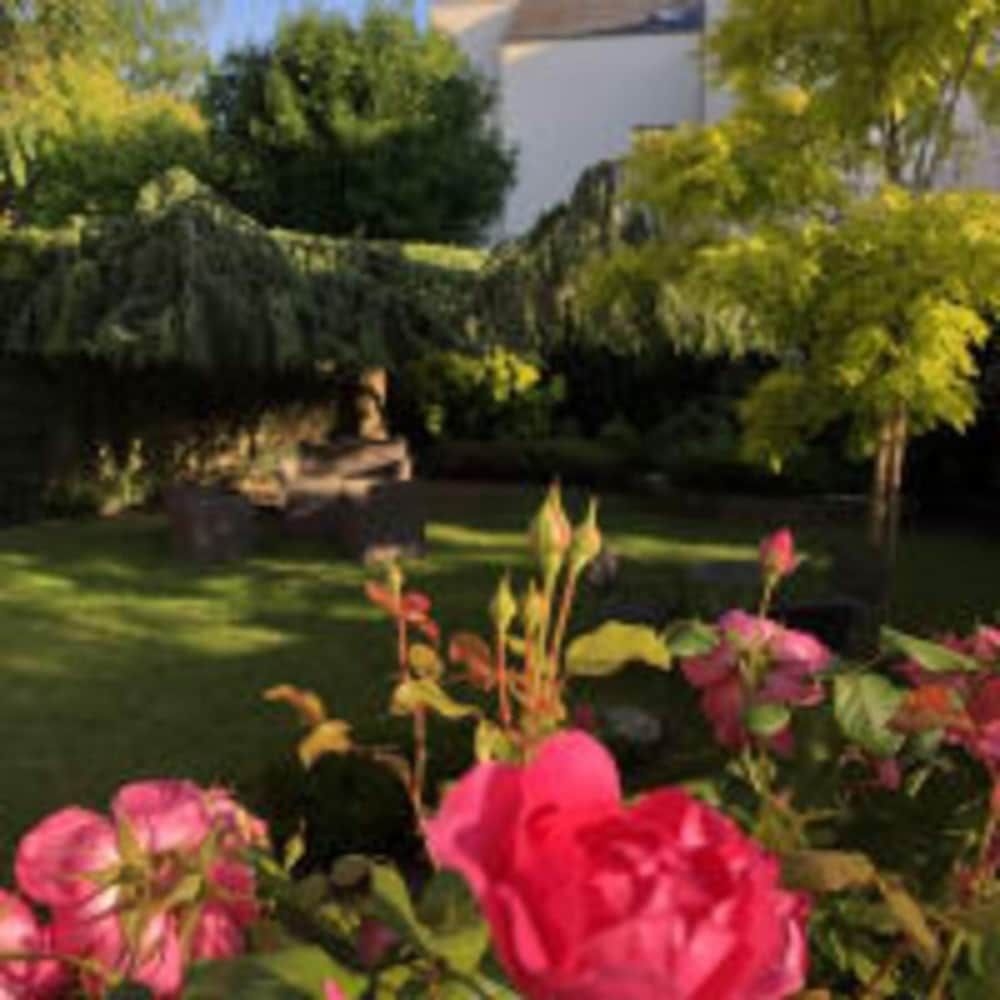 Des Cedres Hotel4