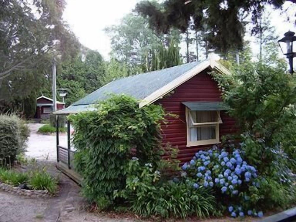Cedar Lodge Cabins4