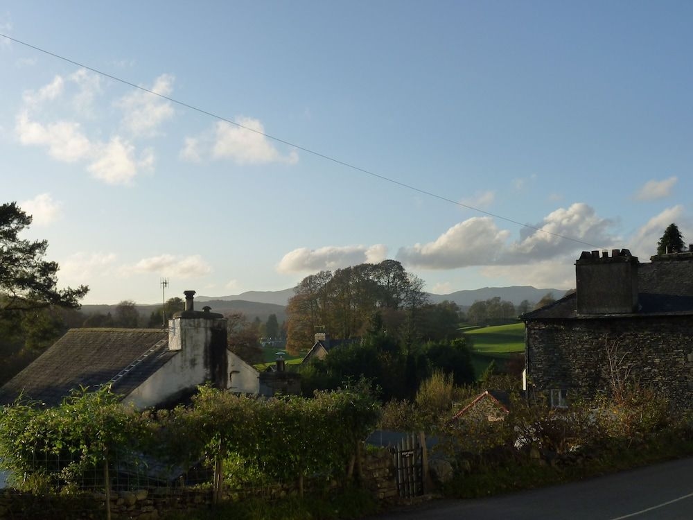 Cuckoo Brow2