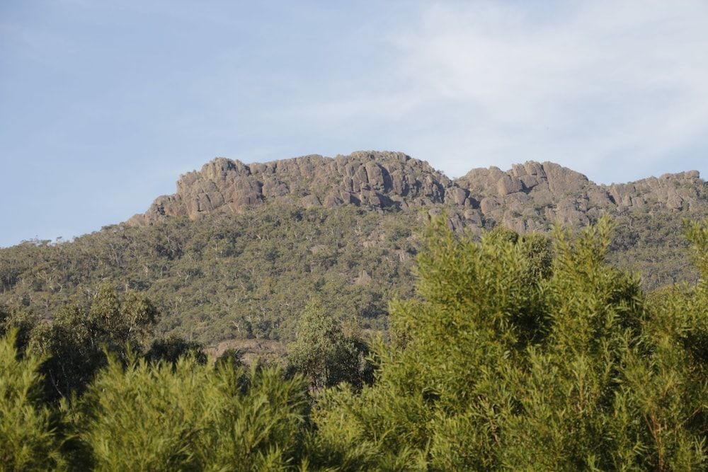 Dacelo0