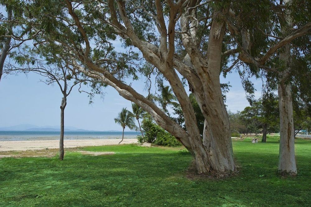 Beachcomber Unit 20
