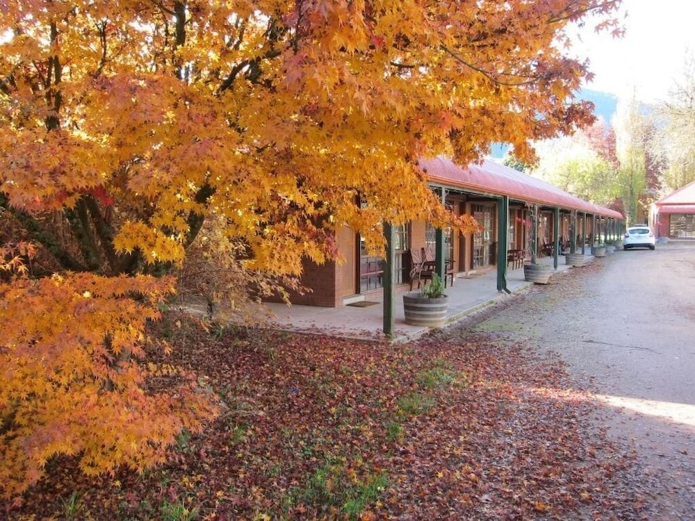 The Harrietville Snowline Hotel3