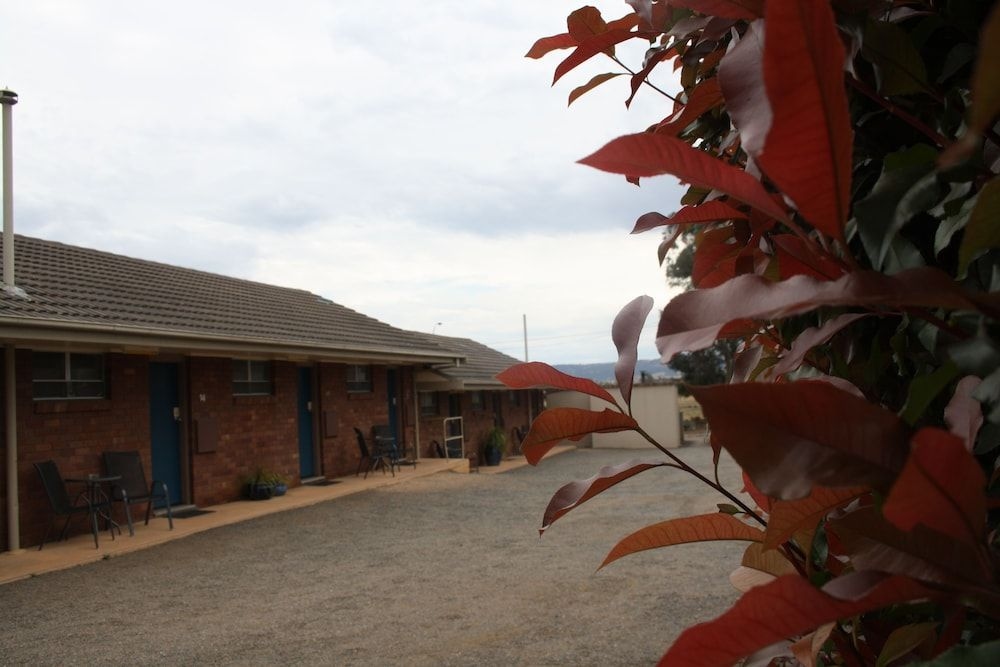 Isis Motel Scone2