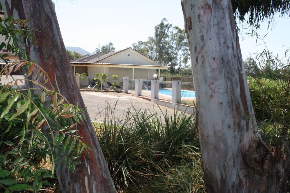 Isis Motel Scone4