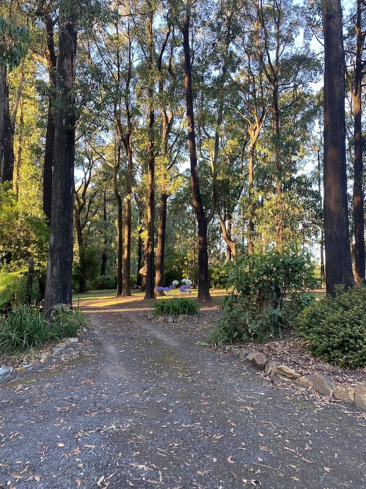 Karma Kinglake0