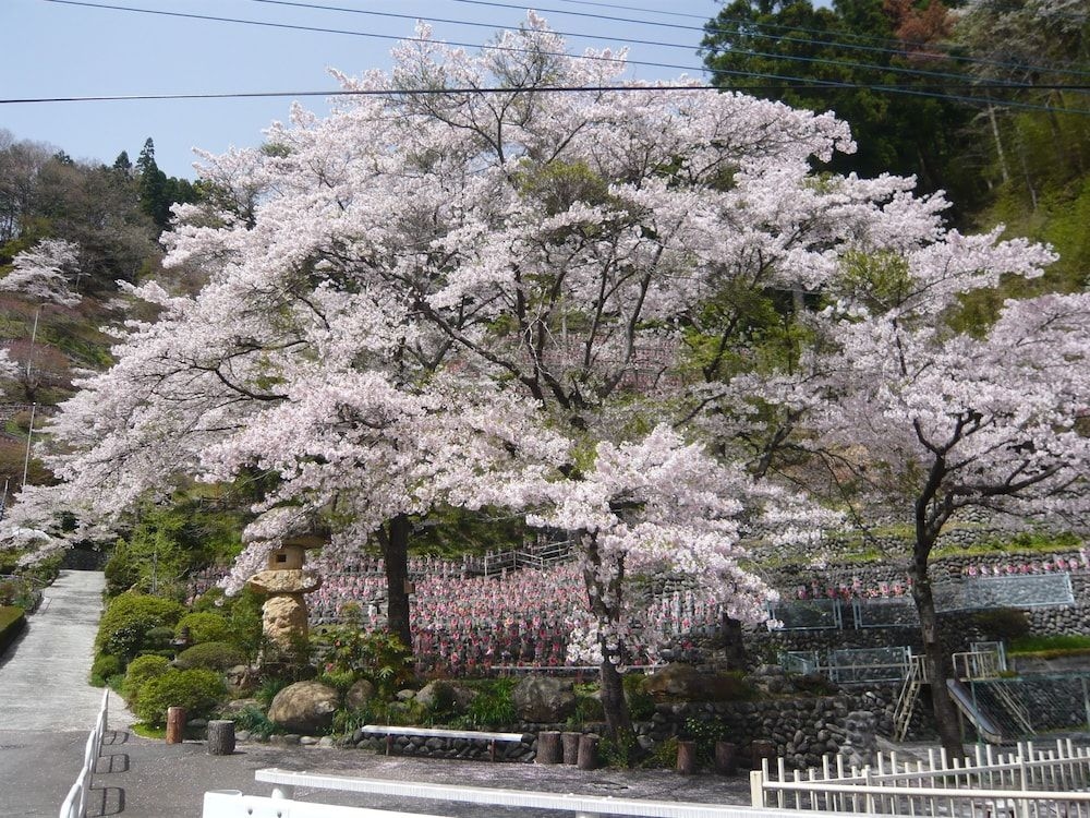 เอชิโกะยะ เรียวกัง (Echigoya Ryokan)0