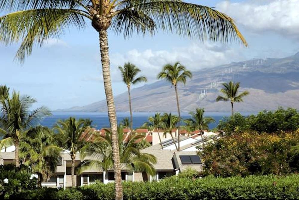 Maui Kamaole2