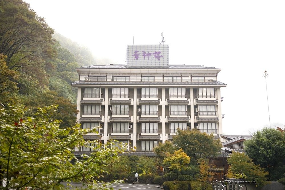 Wakamiro3