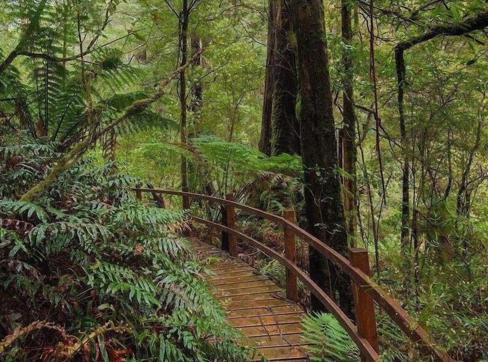 The Source, Otways3