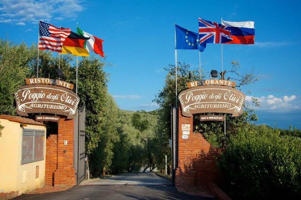 Poggio Degli Olivi1