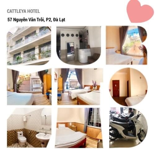 โรงแรมแคทลียา (CATTLEYA HOTEL)0