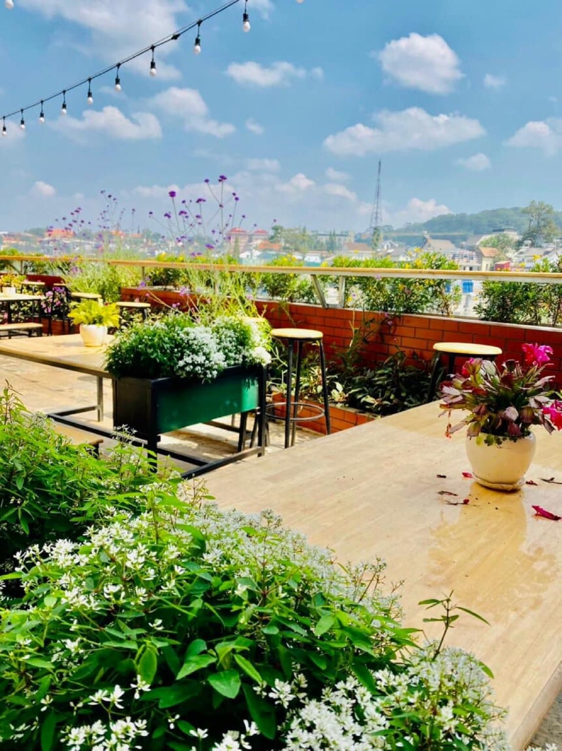 An Nhien Hotel0