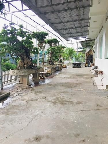 Chi Hieu Hotel3