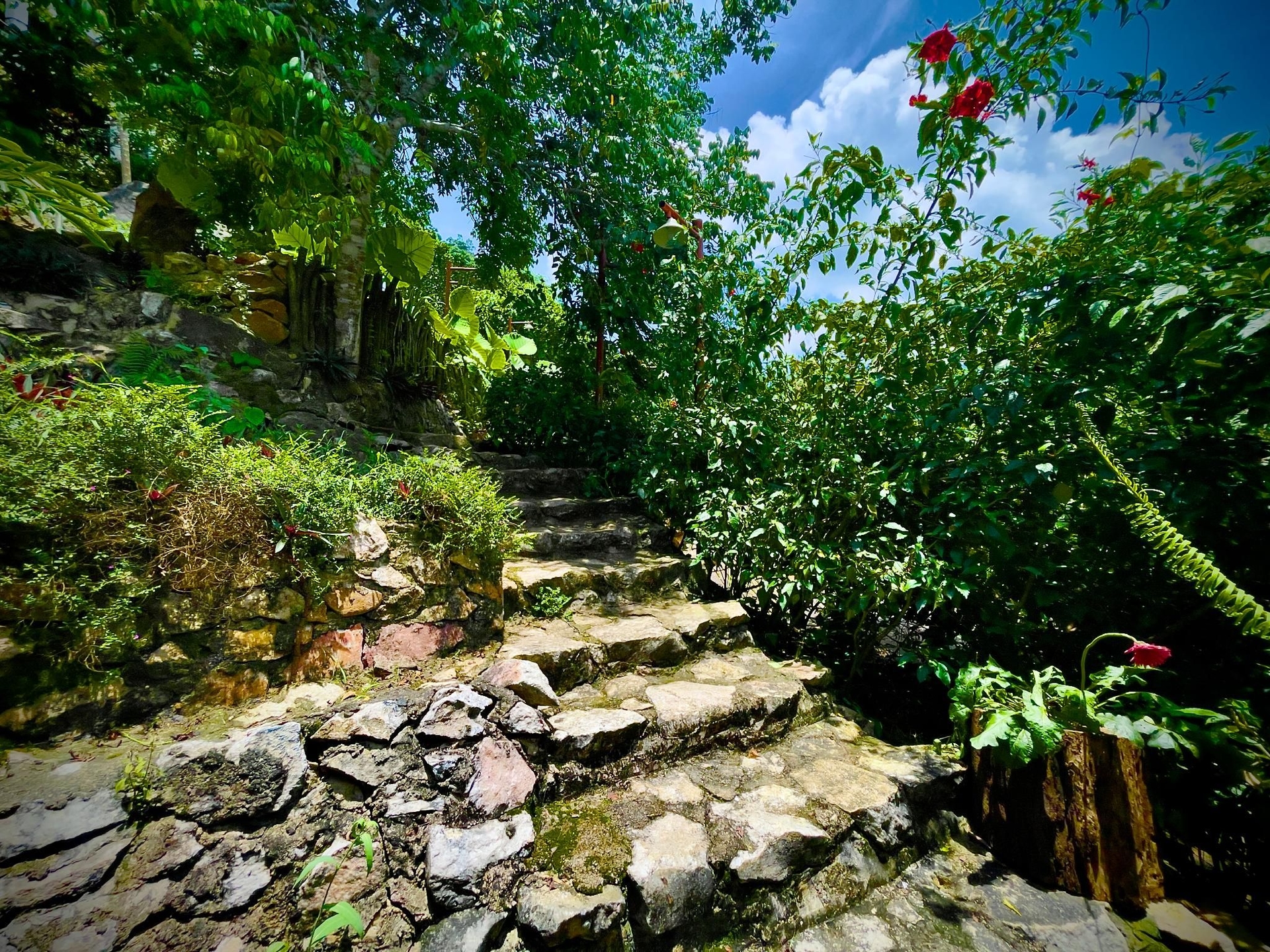 Ba Be Lakeside Bungalow4