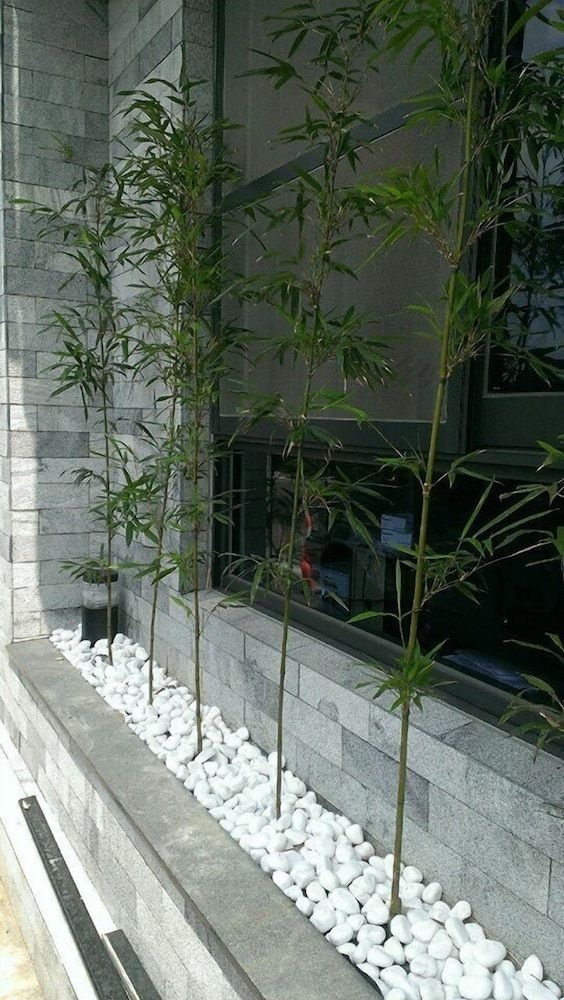 Yujing Mountain Water Residence1