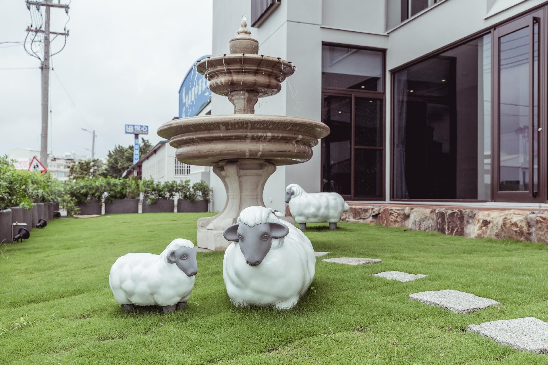 ว่านเตา (wandao)1