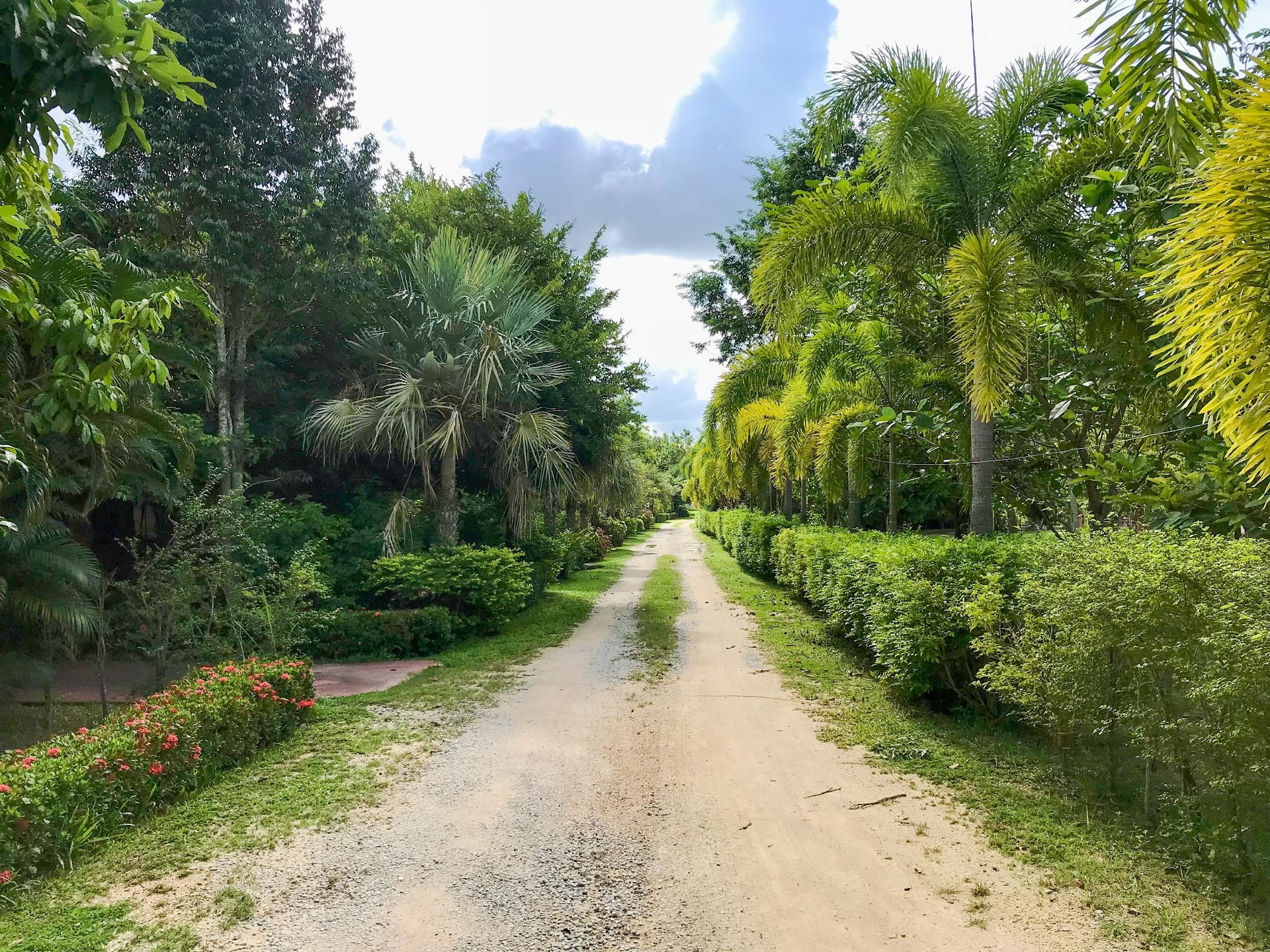 บ้านสวนทิพย์ รีสอร์ท บ้านฉาง (Baan Suantip Resort)3