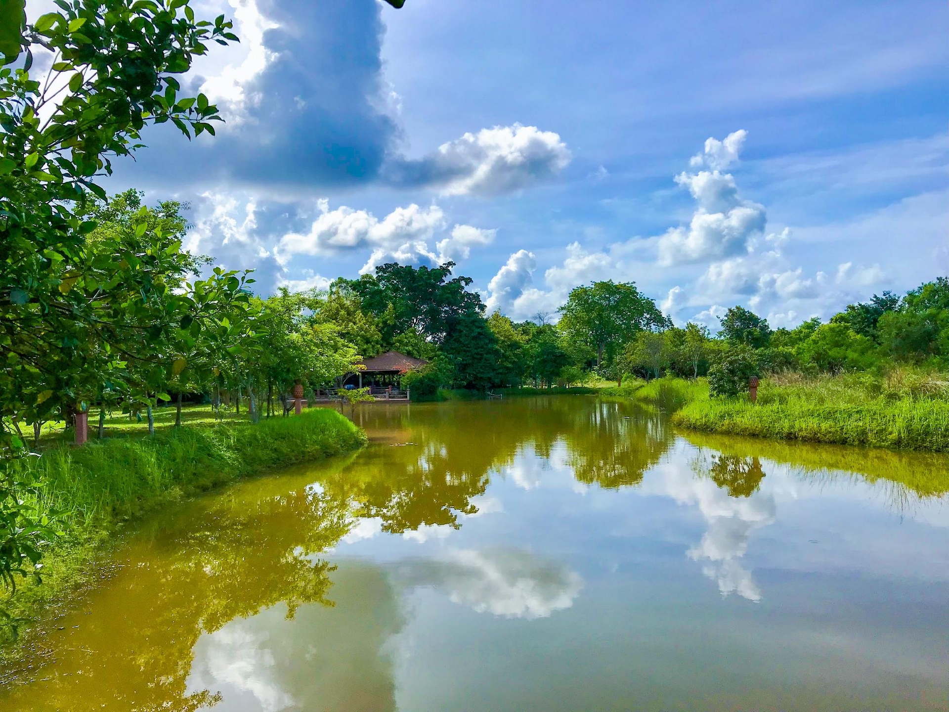 บ้านสวนทิพย์ รีสอร์ท บ้านฉาง (Baan Suantip Resort)1
