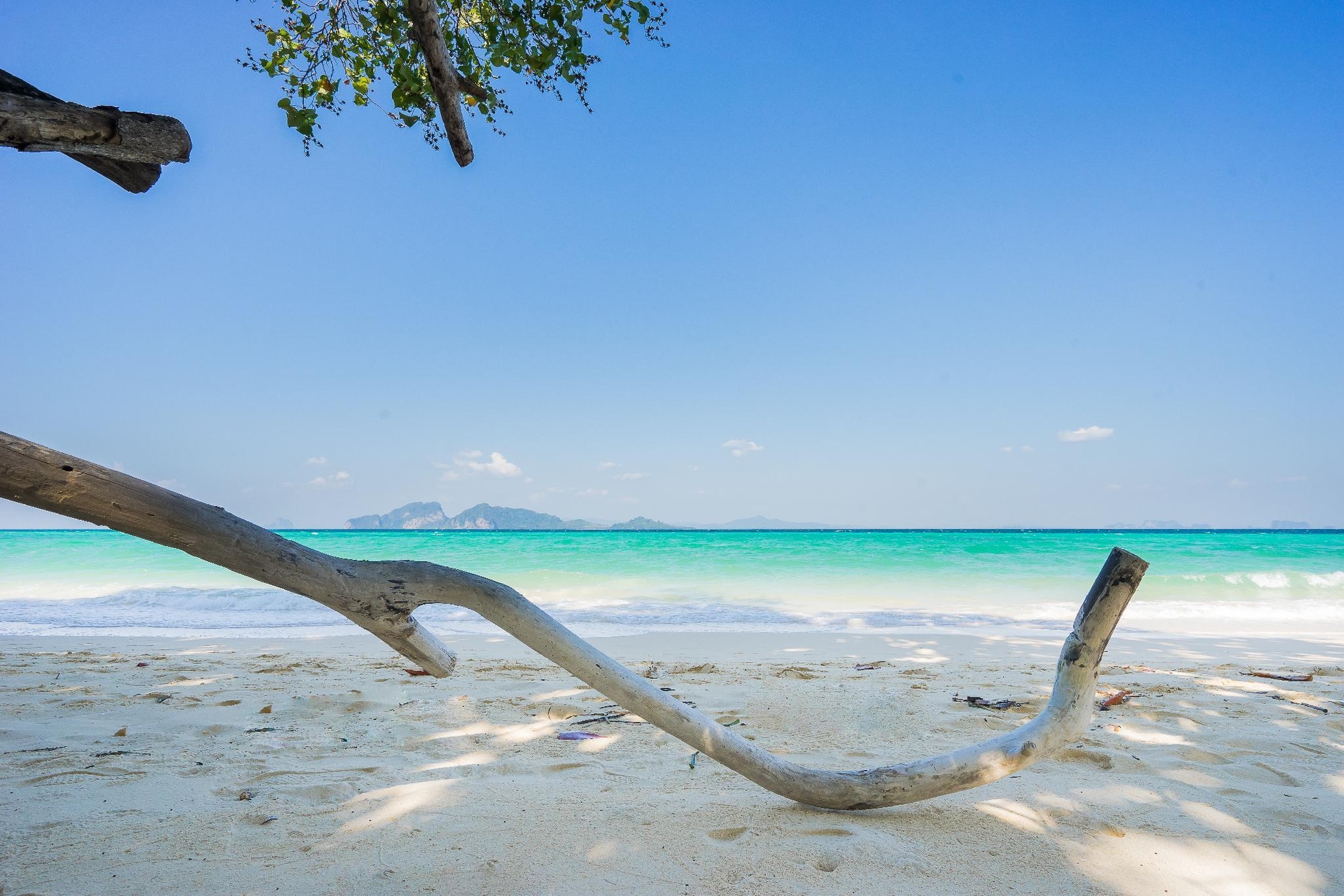 เดอะ เซเวนซี รีสอร์ต เกาะกระดาน (The Sevenseas Resort Koh Kradan)0