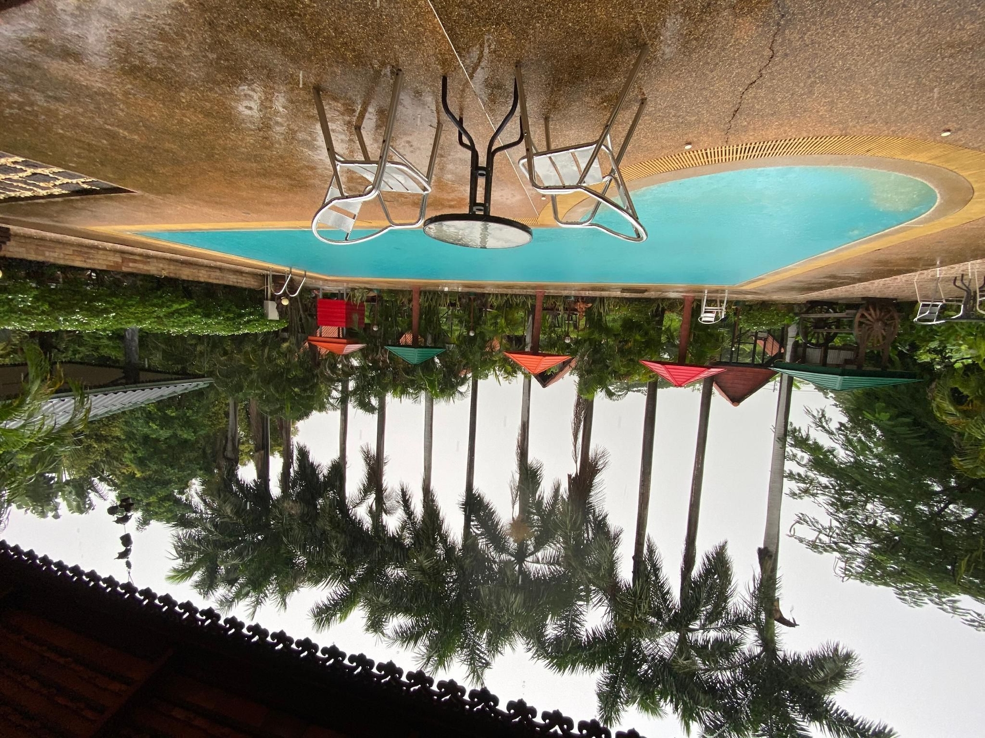 ฮิมาวาริ เรสเทอรองต์ แอนด์ คอตเทจ (Himawari Restaurant and Cottage)3
