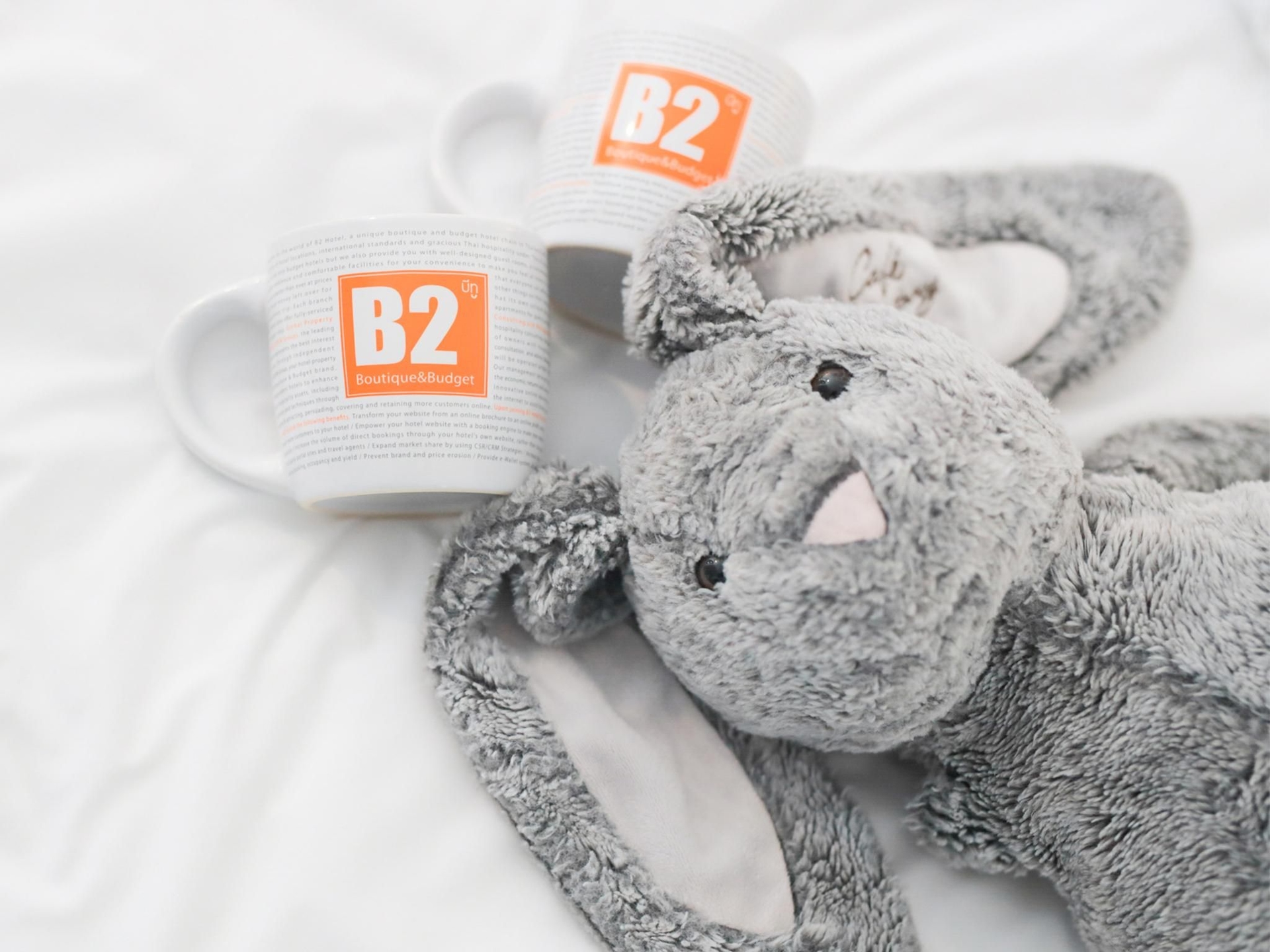 B2 รังสิต บูติก แอนด์ บัดเจ็ท โฮเทล (B2 Rangsit Boutique & Budget Hotel)3