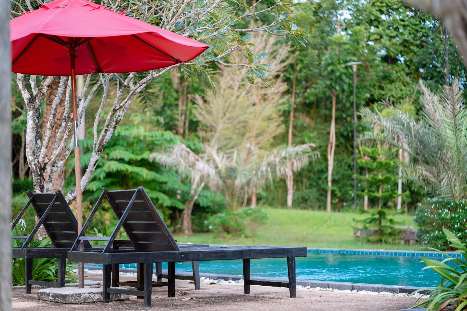 ภูชมหมอก รีสอร์ท (Poochommhok Resort)4