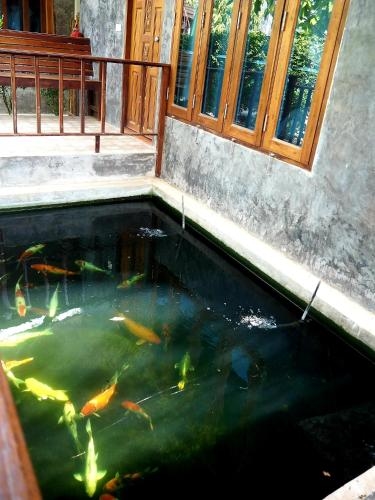 นาเวียงแก ริเวอร์วิว รีสอร์ต (Nawiengkae Riverview Resort)4