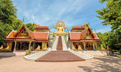 Marasca Samui1