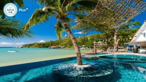 ฟิชเชอร์แมน เกาะเต่า (Fisherman Koh Tao)1