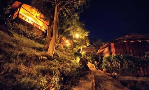 ทรี เฮาส์ บังกะโล (Tree House Bungalows)1