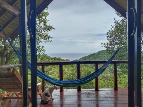 ทรี เฮาส์ บังกะโล (Tree House Bungalows)0