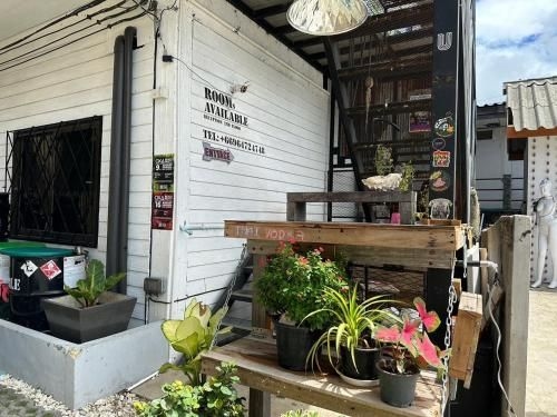 ยู โฮสเทล เกาะพะงัน (U Hostel Koh Phangan)1