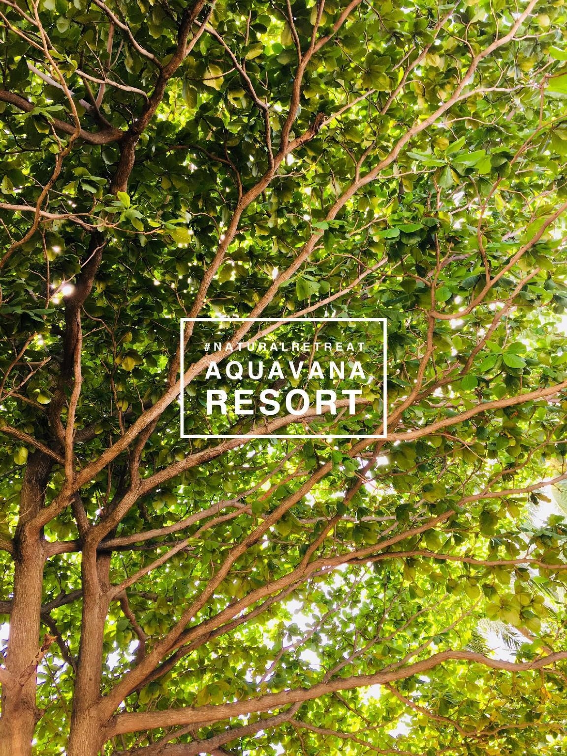 อควาวานา หาดริ้น รีสอร์ต (Aquavana Haad Rin Resort)4