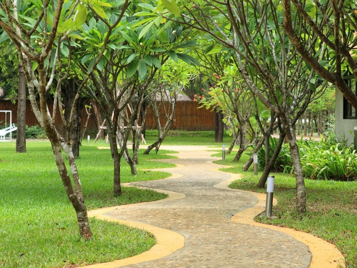 หรรษา คาชัวรินา ชะอำ (Hansar Casuarina Cha am)4