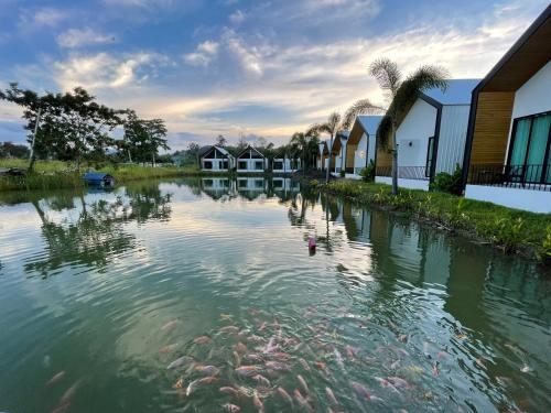 ไพลิน เพลส (Pailin Place)4