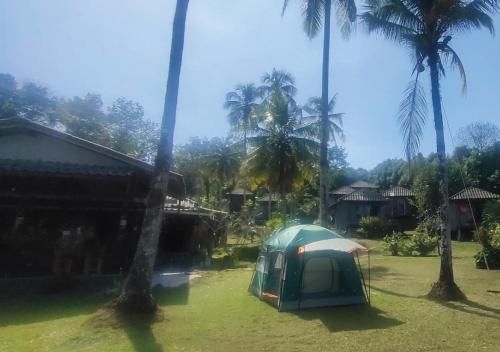 เดอะง่ามโข่รีสอร์ต (The Ngam Kho Resort)3
