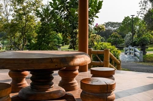 สวนผึ้ง บอนไซ วิลเลจ (Suanphung Bonsai Village)4