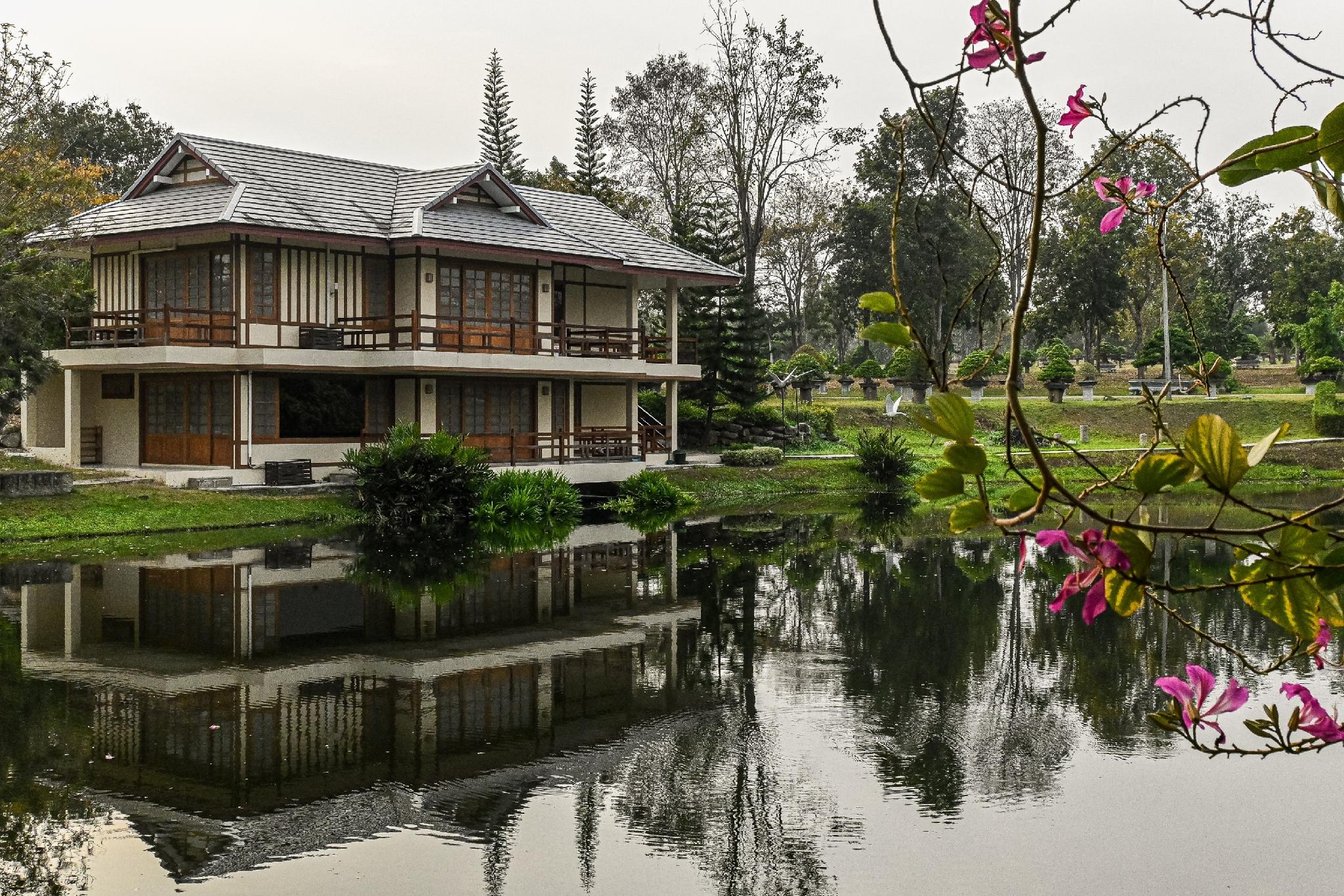 สวนผึ้ง บอนไซ วิลเลจ (Suanphung Bonsai Village)0