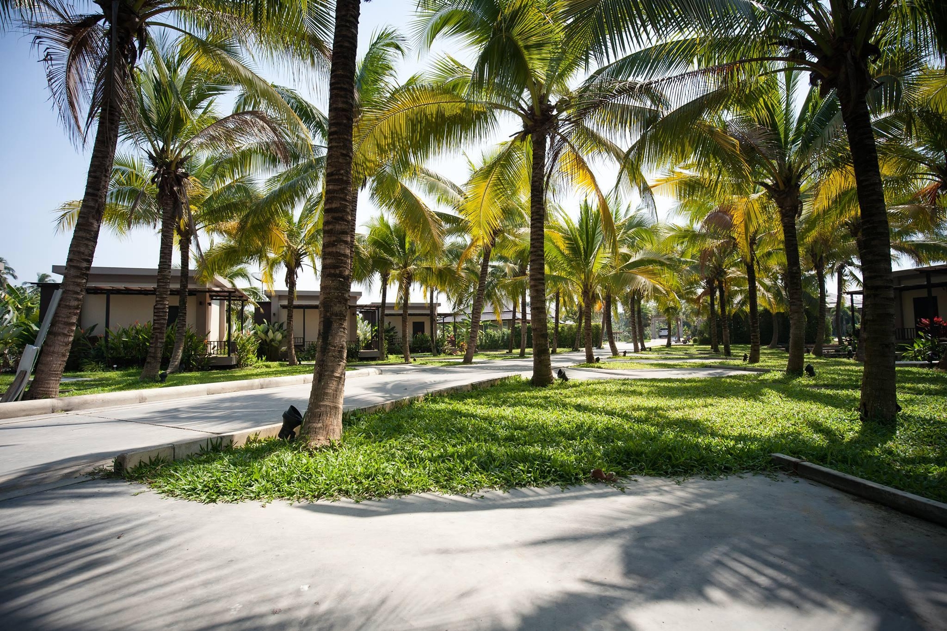 ดรีมการ์เดน รีสอร์ต (Dream Garden Resort)3