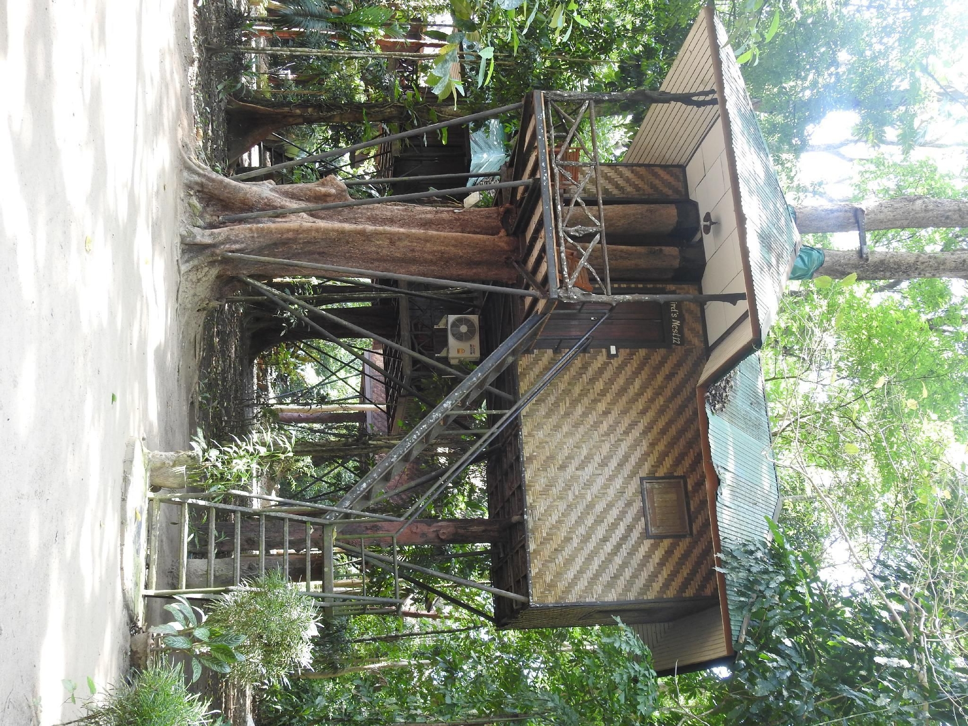 เขาสก เนจอร์  รีสอร์ท (Khao Sok Nature Resort)4