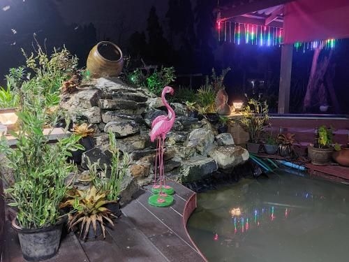 Phulomnum Resort4