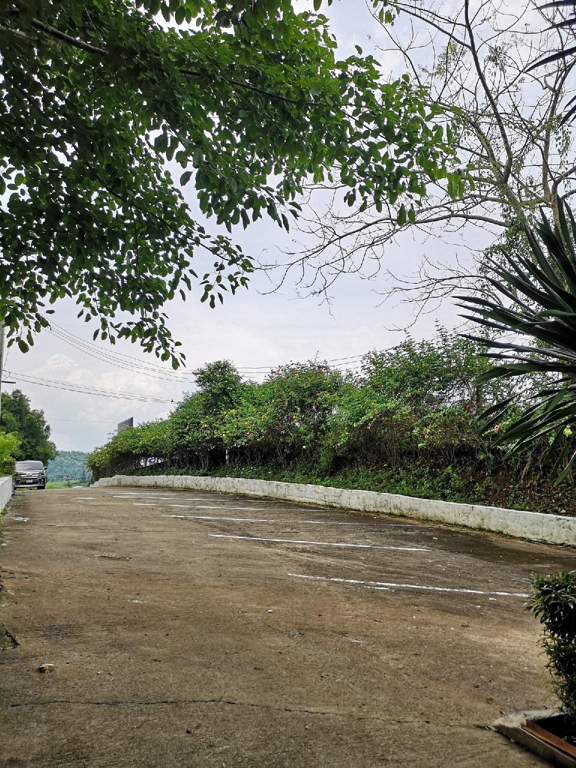 เขาค้อ ไวต์โฮม รีสอร์ต (Khaokor Whitehome Resort)3