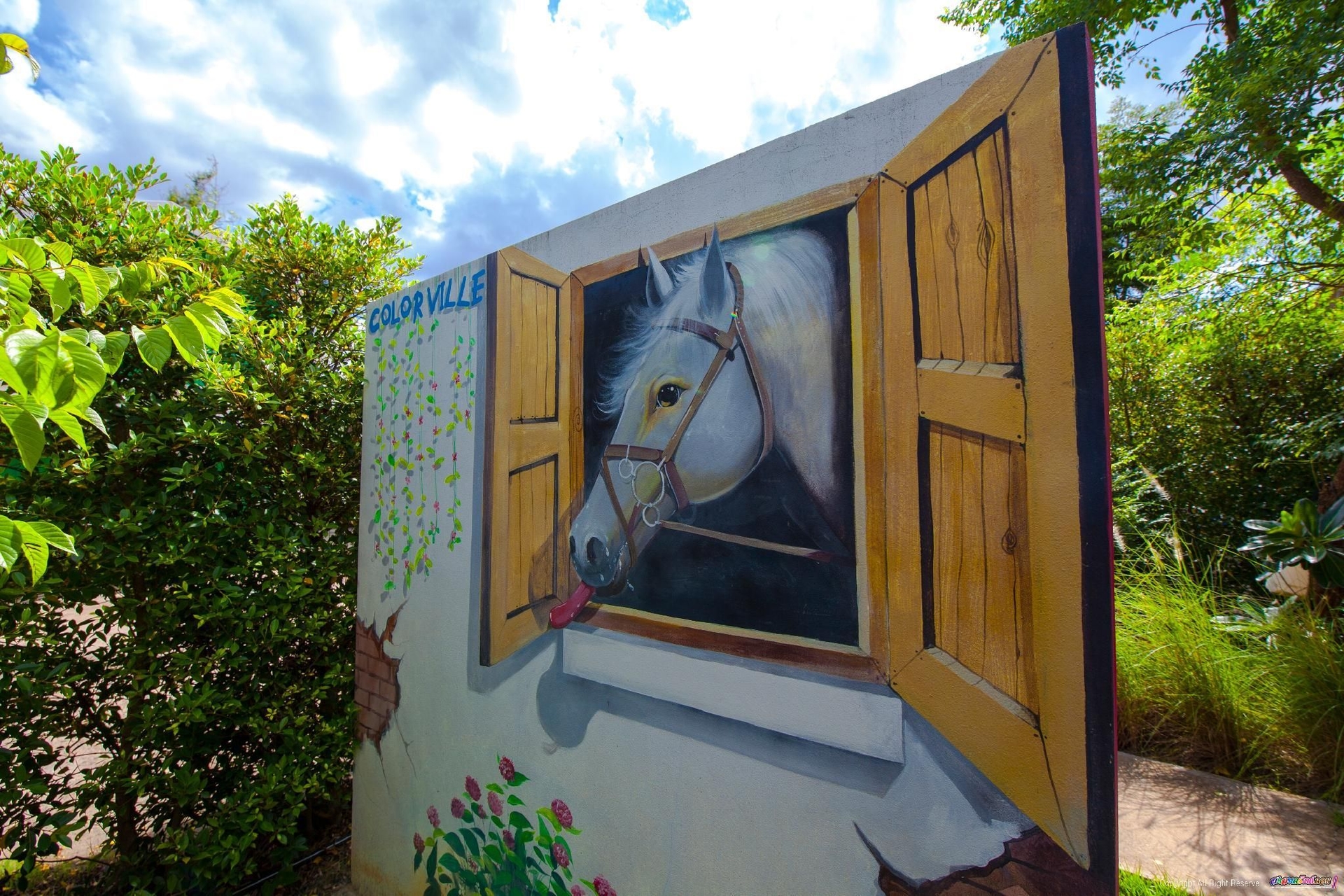 คัลเลอร์ วิลล์ โฮเทล (The Color Ville Hotel)4