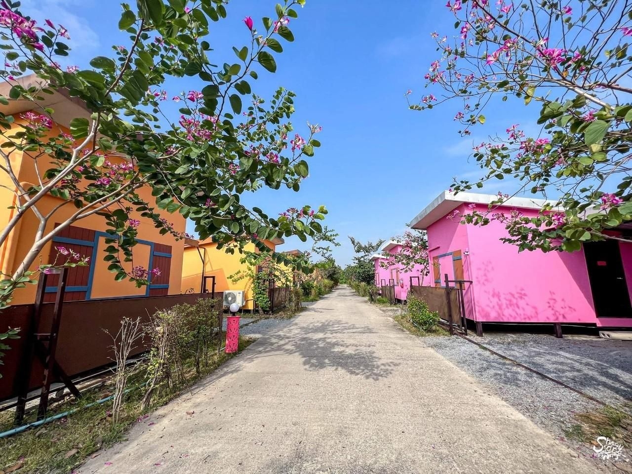 แสนรัก รีสอร์ต (Sanrak Resort)2