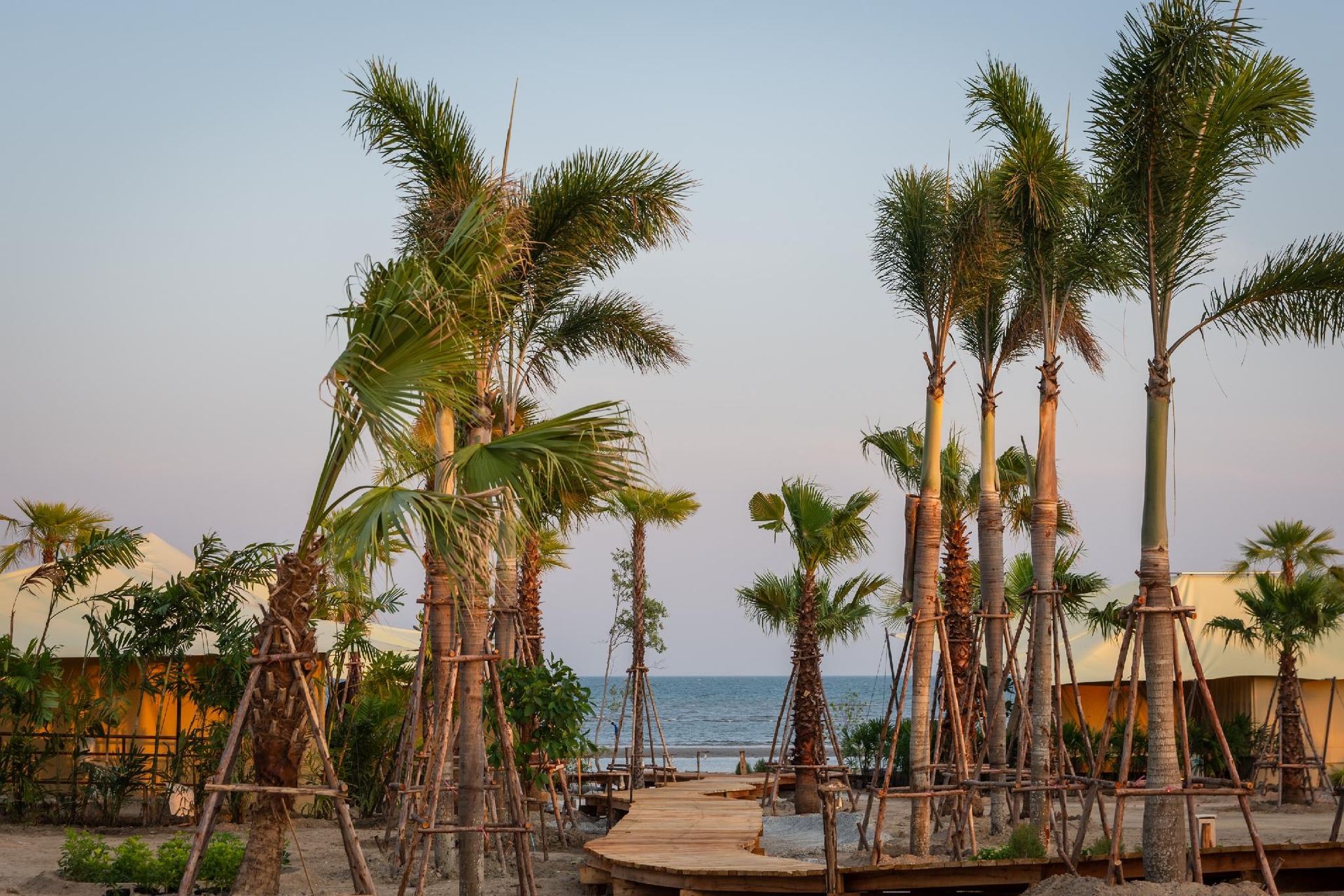 แค้มป์ เคย์ลาร์  ครอส์ต้า (Camp Cayla Coasta)0