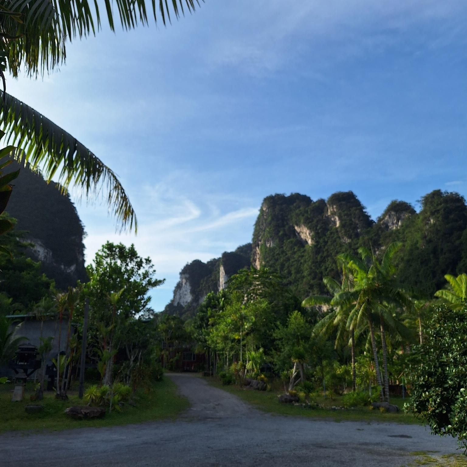 เดอะ แคมเปอร์ ลอดจ์, เขาสก (The Camper Lodge, Khao Sok)2